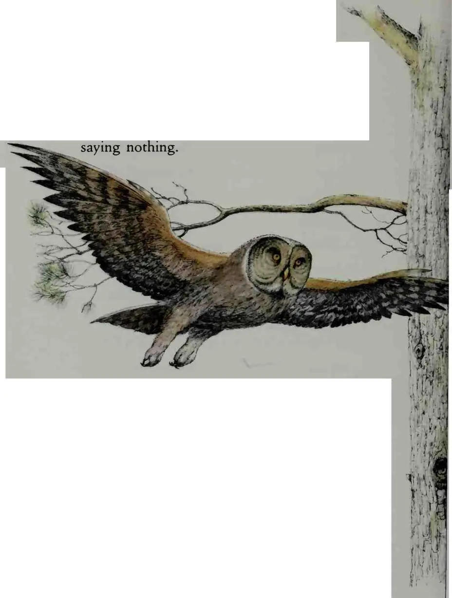Alexander saw her beak and her terrible talons He knew it was no use trying to - фото 8