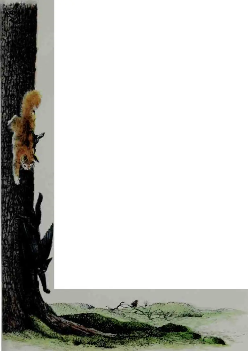 The black kitten looked thoughtful Then folding her wings she crept - фото 14