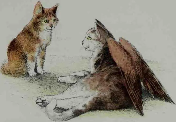 It seemed sad to Alexander that Jane had not been able to tell him her own - фото 17