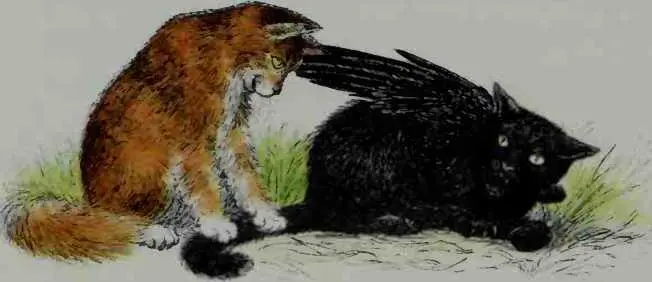 You can growl all you like he said Im going to stand on your tail till - фото 24