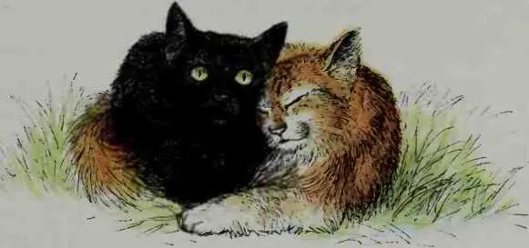 Rats much bigger than me Jane said in a hoarse weak voice that grew - фото 25