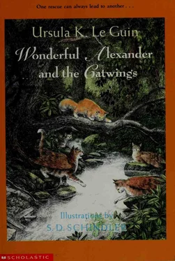 Урсула Ле Гуин Wonderful Alexander And The Catwings обложка книги