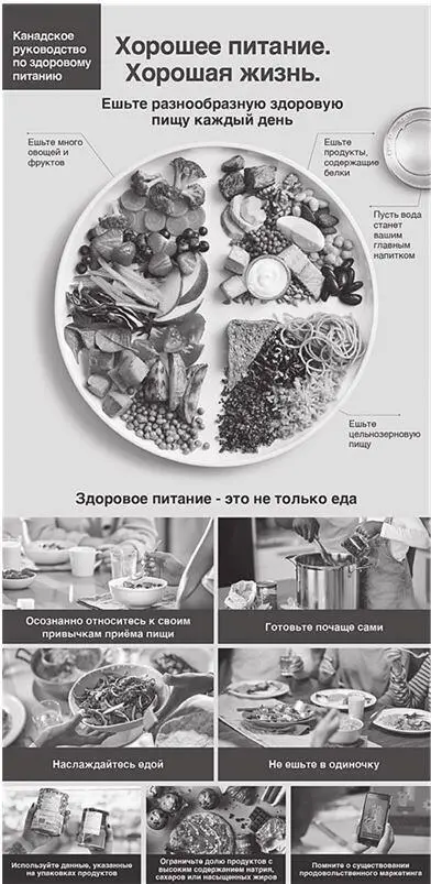 Рис 9Пирамида здорового питания в Канаде 6 Канадское руководство по - фото 24