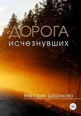 Виктория Шорикова Дорога исчезнувших обложка книги