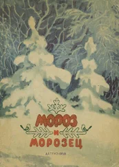 Народные сказки - Мороз и морозец