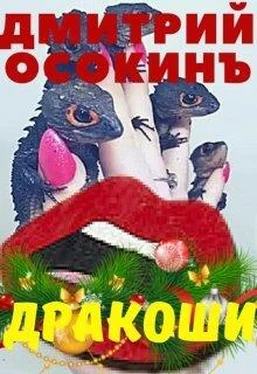 Дмитрий Осокин Дракоши обложка книги