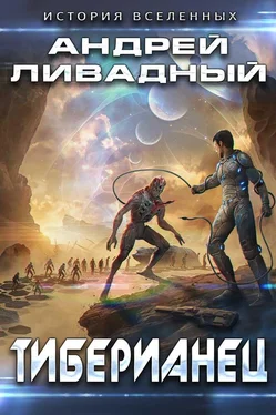 Андрей Ливадный Тиберианец обложка книги