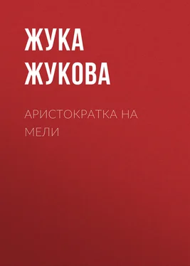 Жука Жукова Аристократка на мели обложка книги