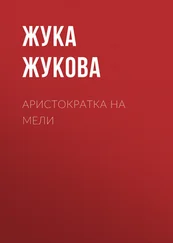 Жука Жукова - Аристократка на мели