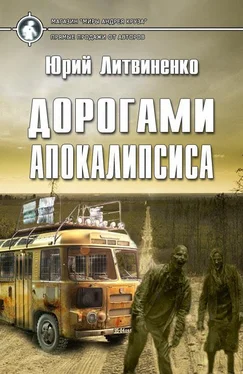 Юрий Литвиненко Дорогами апокалипсиса [СИ] обложка книги