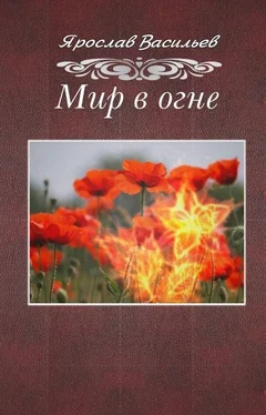 Ярослав Васильев Мир в огне обложка книги