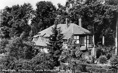 One of our lovely family houses HOMELAND FLAK My accommodation hut Our bunk - фото 17