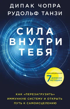 Дипак Чопра Сила внутри тебя [Как «перезагрузить» свою иммунную систему и сохранить здоровье на всю жизнь] [litres] обложка книги