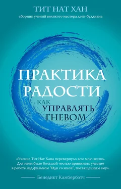 Тхить Хань Практика радости. Как управлять гневом [litres] обложка книги