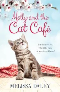 Мелисса Дэйли Molly And The Cat Cafe обложка книги