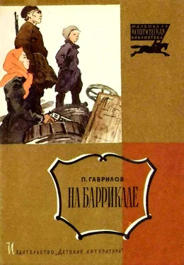Пётр Гаврилов На баррикаде [Рассказ] обложка книги