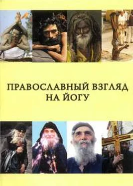 чтец Владимир Православный взгляд на йогу обложка книги