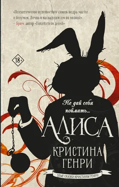 Кристина Генри Алиса обложка книги