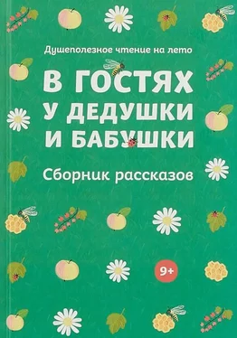 Василий Никифоров-Волгин В гостях у дедушки и бабушки. Сборник рассказов обложка книги