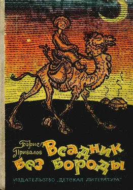 Борис Привалов Всадник без бороды [Юмористическая повесть]