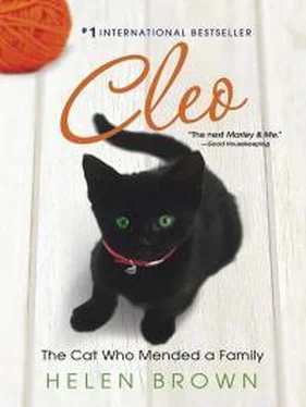 Хелен Браун Cleo обложка книги