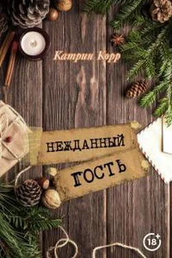 Катрин Корр Нежданный гость [СИ litres] обложка книги