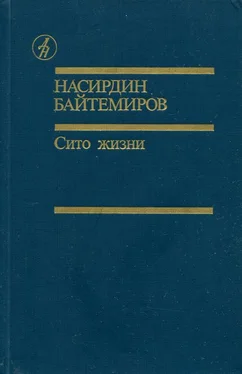 Насирдин Байтемиров Сито жизни обложка книги