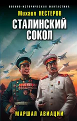 Михаил Нестеров - Маршал авиации [litres]