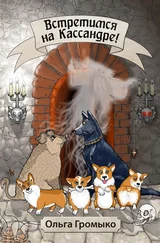 Ольга Громыко - Встретимся на Кассандре! [СИ litres]