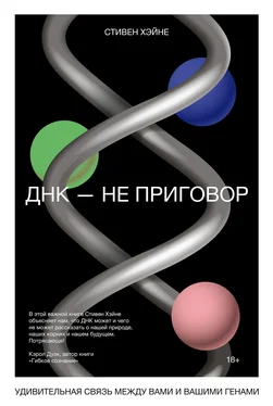 Стивен Хэйне ДНК – не приговор. Удивительная связь между вами и вашими генами обложка книги