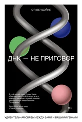 Стивен Хэйне - ДНК – не приговор. Удивительная связь между вами и вашими генами