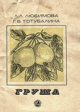 Людмила Любимова Груша обложка книги