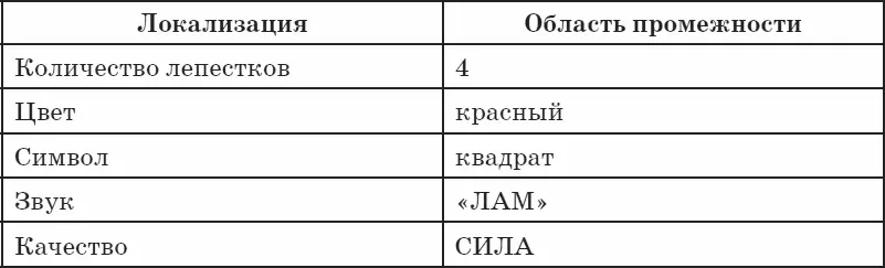 Быстрый старт для знакомства с I чакрой Закройте глаза и сосредоточьте внимание - фото 12