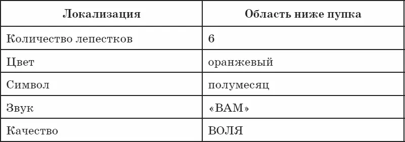 Быстрый старт для знакомства со II чакрой Закройте глаза и сосредоточьте - фото 14