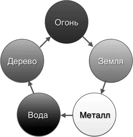Вам нужно знать что в теле человека все системы находятся под влиянием - фото 44