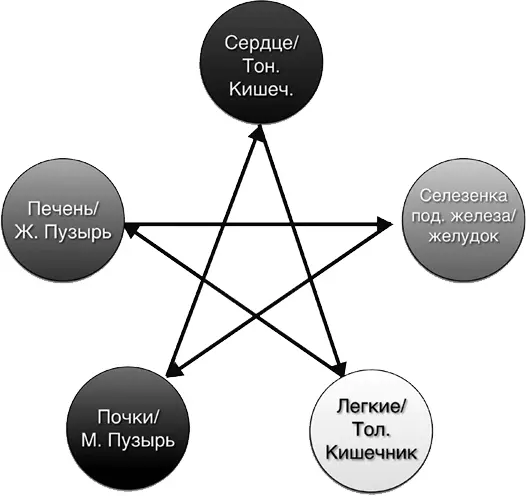 1 Техника Думайте о своих органах 1 Представьте а лучше почувствуйте свою - фото 48
