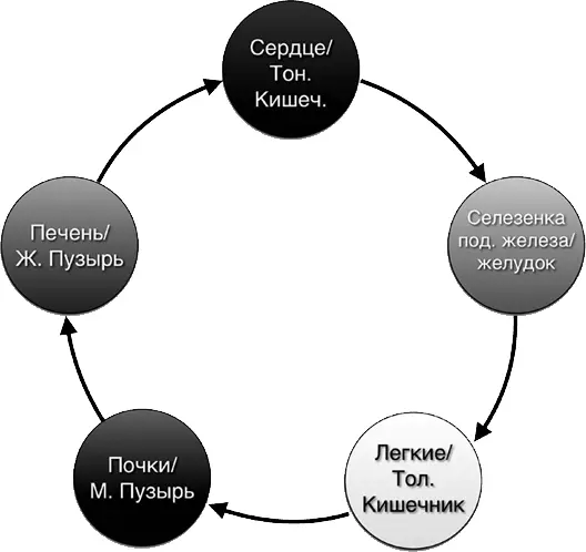 1 Техника Думайте о своих органах 1 Представьте а лучше почувствуйте свою - фото 49