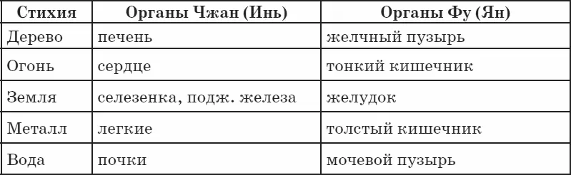 Для здоровья человека плотные органы приоритетны Они же управляют полыми - фото 56