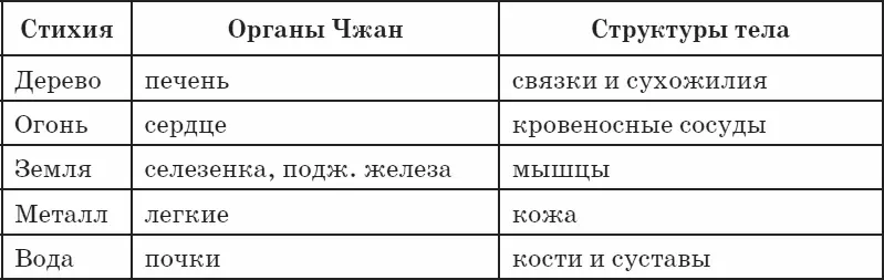 Зеркала органов По так называемым зеркалам органов можно определить состояние - фото 57
