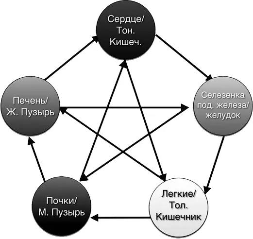 На первых порах обучения и знакомства с концепцией УСин мы пользуемся только - фото 84