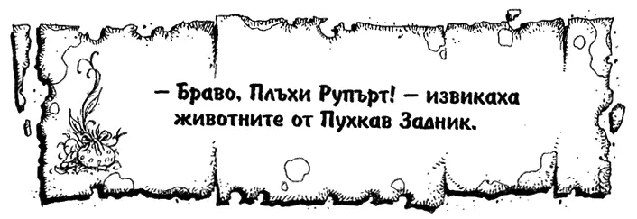 Из Гн Бънзи има приключение Тълпата се натъпка в градския Плъхком Повечето - фото 12