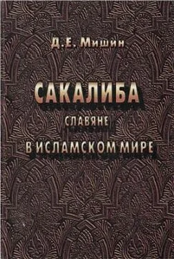 Дмитрий Мишин Сакалиба обложка книги