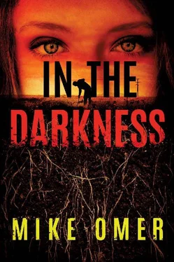 Mike Omer In the Darkness обложка книги