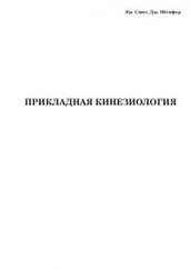 Кристин Смит - Прикладная кинезиология