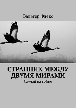 Вальтер Флекс Странник между двумя мирами обложка книги