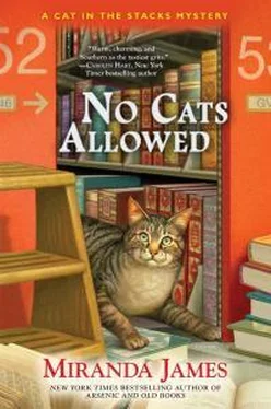 Миранда Джеймс No Cats Allowed обложка книги