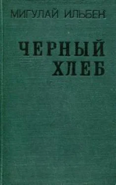 Мигулай Ильбек Черный хлеб обложка книги