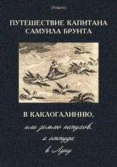 Автор неизвестен - Путешествие капитана Самуила Брунта в Каклогалинию, или землю петухов, а оттуда в Луну