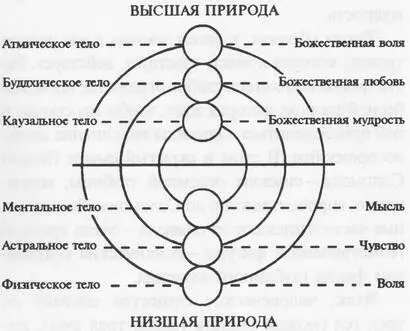 Физическое тело представляющее силу волю мощь в материальном плане связано - фото 2