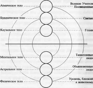 Людей можно разделить на шесть категорий самый низкий близкий к животному - фото 6